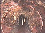 photosewer9.jpg