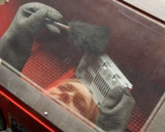 Crime Scene Team_fingerprints