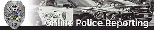 RV Online Police Report_Normal