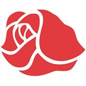 Roseville Rose square