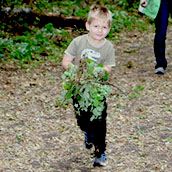 Garlic Mustard boy