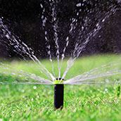 lawn sprinkler_172