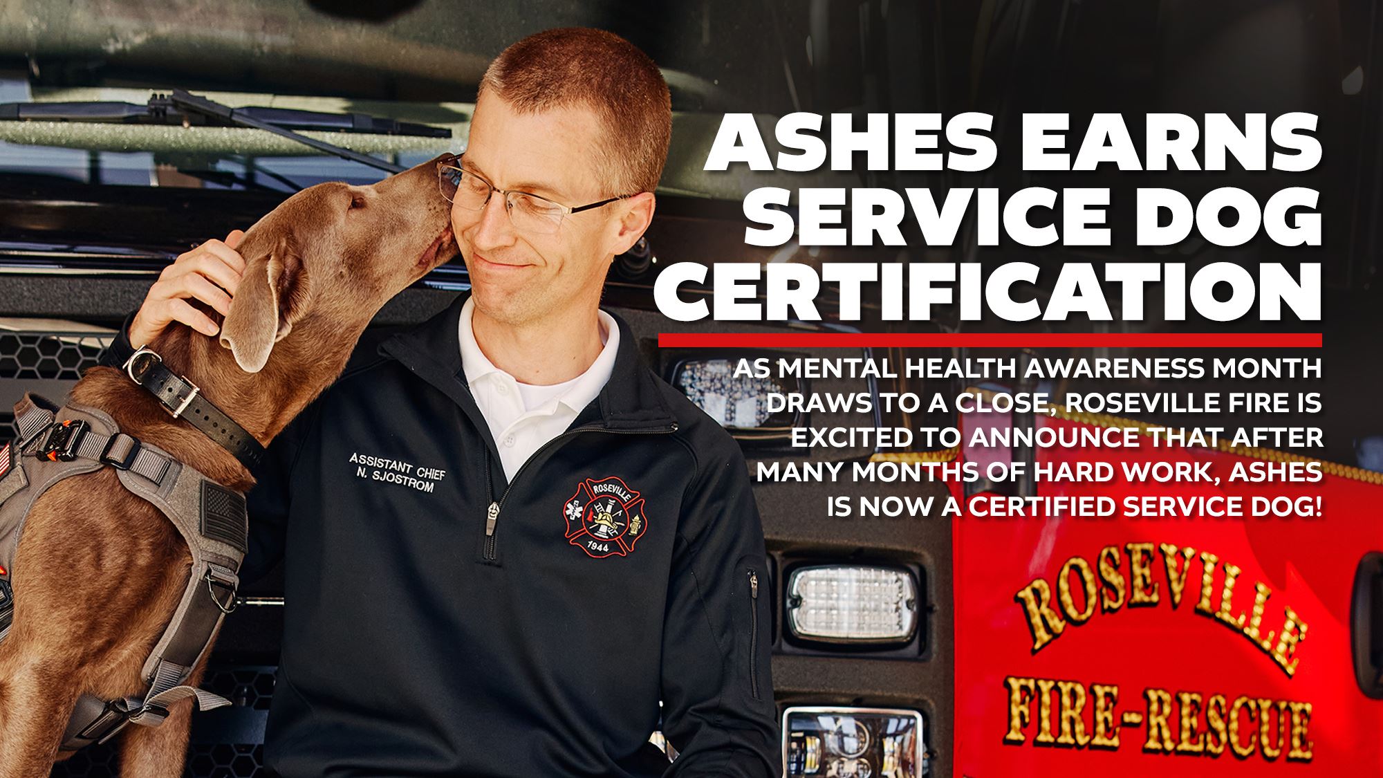 Ashes earns service dog certification