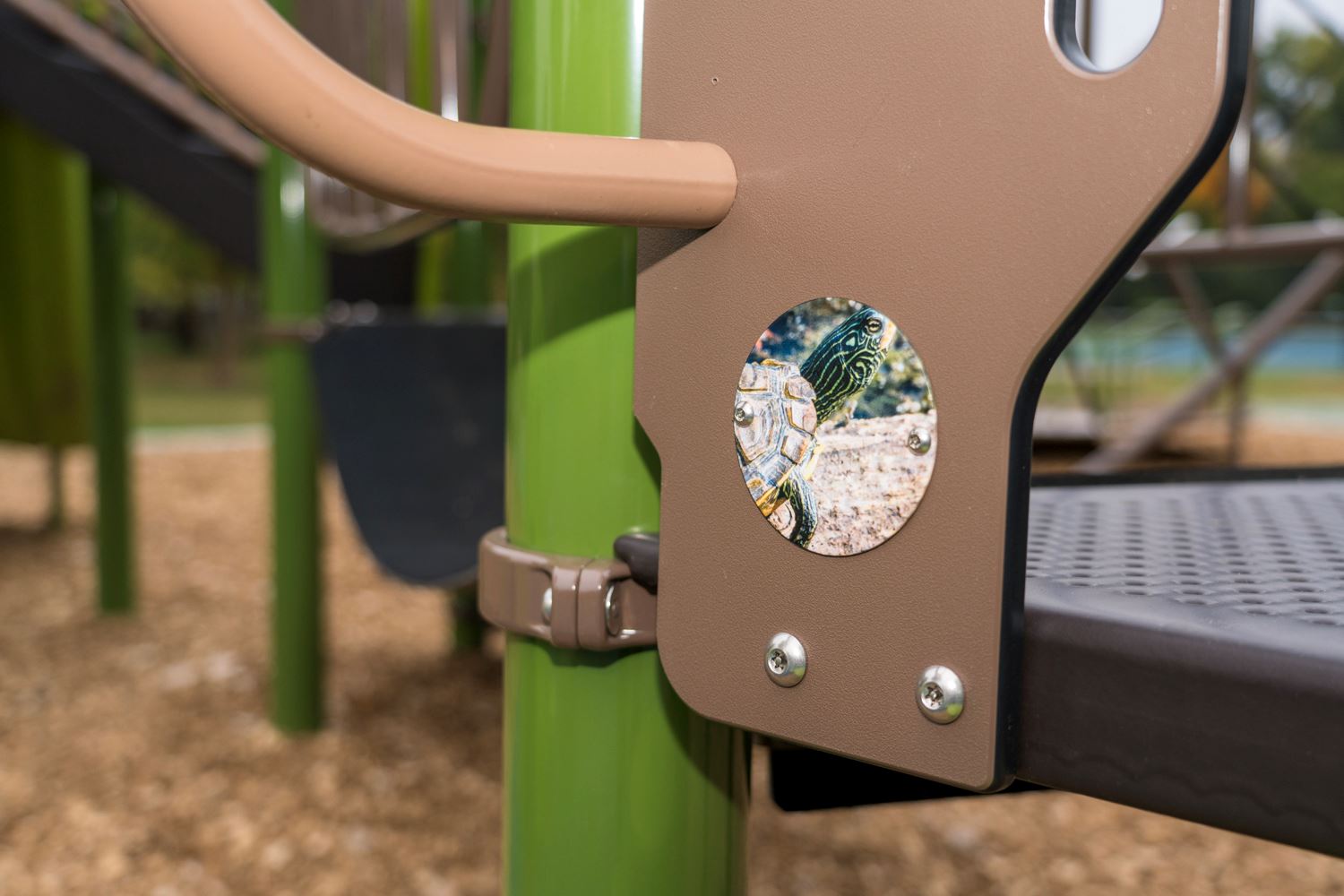 A hidden turtle at Roseville's Keya Park.