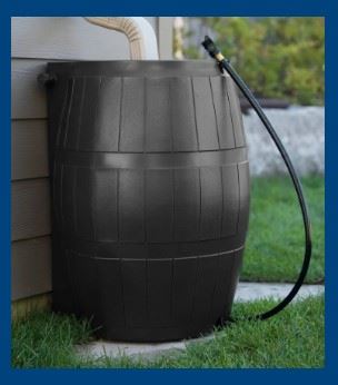 Rain Barrel